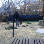  ,   , 46 ,   