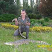 ���������� �������, ���� ������� Wowelu, 38 ���, ������������ ��� ������