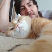 ���������� �����-���������, ���� ������� �����, 34 ����, ������������ ��� ������, ����� � ���������