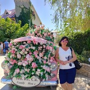  ,   , 48 ,   , c 