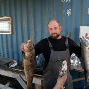 ���������� �����, ���� ������� ����, 47 ���, ������������ ��� ������, ����� � ���������, c�������� ���������