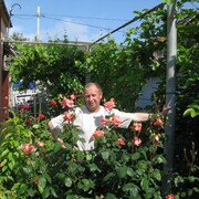 ���������� �����������, ���� ������� ��������, 50 ���, ������������ ��� ������, ����� � ���������, c�������� ���������