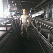 ���������� ������, ���� ������� ������, 32 ����, ������������ ��� ������, ����� � ���������, c�������� ���������