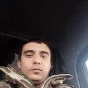  ,  , 37