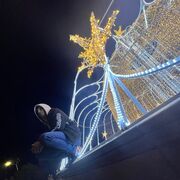 ���������� ����������, ���� ������� �������, 31 ���, ������������ ��� ����� � ���������, c�������� ���������