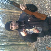 ���������� �������, ���� ������� ����, 44 ����, ������������ ��� ������, ����� � ���������, c�������� ���������