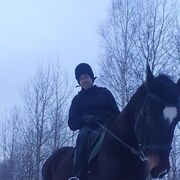 ���������� �����-���������, ���� ������� �������, 39 ���, ������������ ��� ����� � ���������, c�������� ���������, ���������