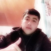  ,   SHOXRUH, 24 ,   ,   , c 