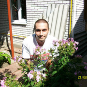 ���������� ����, ���� ������� ������, 49 ���, ������������ ��� ������, ����� � ���������, c�������� ���������