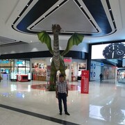  ,   , 60 ,     , c 