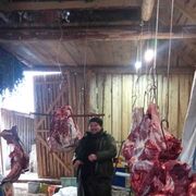 ���������� ������, ���� ������� �����, 48 ���, ������������ ��� ������