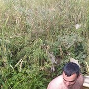 ���������� ������, ���� ������� ������, 39 ���, ������������ ��� ������, ����� � ���������, c�������� ���������