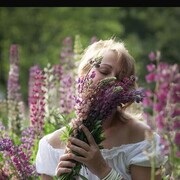 ���������� ������, ���� ������� ��������, 50 ���, ������������ ��� ������, ����� � ���������