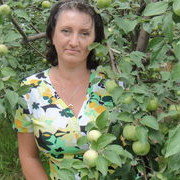 -,   , 55 ,   ,   , c 