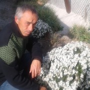  ,   Zenchik, 51 ,   ,   , c 
