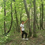 ���������� ���������, ���� ������� �����, 51 ���, ������������ ��� ������, ����� � ���������