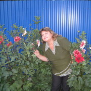  ,   , 65 ,   c 
