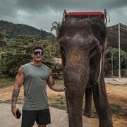 ���������� ������, ���� ������� ���������, 29 ���, ������������ ��� ������, ����� � ���������, c�������� ���������