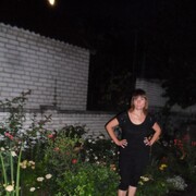  ,   , 61 ,  