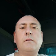  ,   , 51 ,   ,   