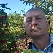 ���������� �����, ���� ������� ϸ��, 64 ����, ������������ ��� ����� � ���������, c�������� ���������