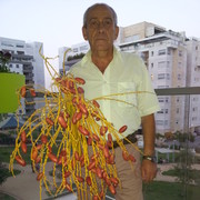  Tel Aviv-Yafo,   Boris, 75 ,   ,   , c 