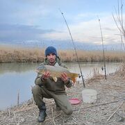 ���������� ����� �������, ���� ������� ���, 34 ����, ������������ ��� ������, ����� � ���������, c�������� ���������