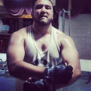  ,   Sultan, 31 ,   ,   , c , 