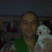 ���������� ���������, ���� ������� ����, 43 ����, ������������ ��� ������, ����� � ���������, c�������� ���������, ���������