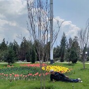  ,   , 38 ,   ,   