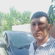 ���������� ����������, ���� ������� Peto, 32 ����, ������������ ��� ������