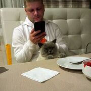  ,   Al, 37 ,   ,   , 