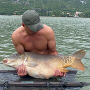 ���������� �����������, ���� ������� ����, 43 ����, ������������ ��� ������, ����� � ���������, c�������� ���������