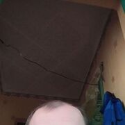  ,   , 49 ,   ,   , c , 