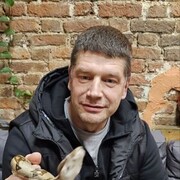 ���������� �����-���������, ���� ������� ������, 51 ���, ������������ ��� ������, ����� � ���������, c�������� ���������