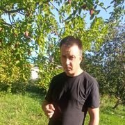 ���������� ���������, ���� ������� ������, 43 ����, ������������ ��� ������, ����� � ���������