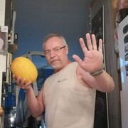  ,   Wlad, 60 ,     , c 