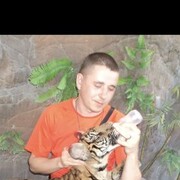 ���������� �������, ���� ������� �����, 48 ���, ������������ ��� ������, ����� � ���������, c�������� ���������, ���������