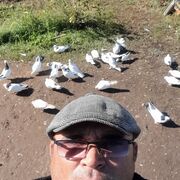  ,   , 43 ,   c 