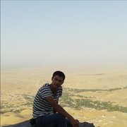  ,   Lion_94, 31 ,   ,   , c 
