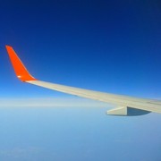 ���������� ������������, ���� ������� ������, 41 ���, ������������ ��� ������, ����� � ���������, c�������� ���������