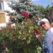  ,   , 41 ,   ,   , c 