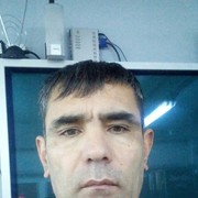  -,   , 48 ,  