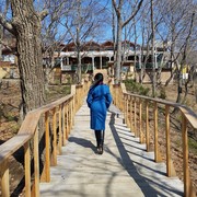  ,   Elena, 51 ,   ,   , c 