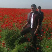  ,   Akbar, 28 ,   ,   , c 