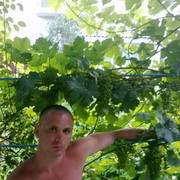 ���������� ������ ��������, ���� ������� �������, 38 ���, ������������ ��� ������