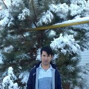 ���������� ���������, ���� ������� �������, 53 ����, ������������ ��� ������, ����� � ���������, ���������