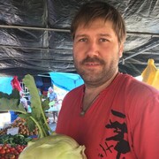 ���������� ������, ���� ������� �����, 48 ���, ������������ ��� ����� � ���������, c�������� ���������