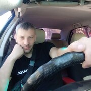 ���������� ���������, ���� ������� �������, 44 ����, ������������ ��� ������, ����� � ���������, c�������� ���������