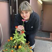 ���������� ������, ���� ������� �����, 59 ���, ������������ ��� ������, ����� � ���������, c�������� ���������